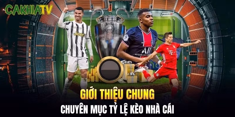 Giới thiệu chung về chuyên mục tỷ lệ kèo nhà cái